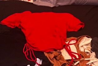 Red Crop Top
