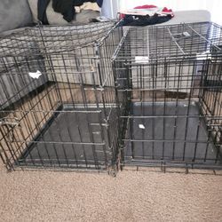 Dog Crate