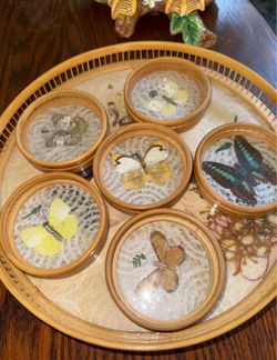 Vintage pressed butterfly coasters with serving tray