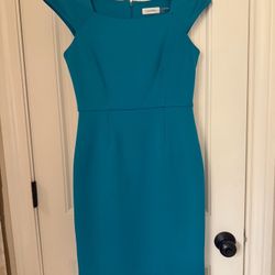 Calvin Klein Dresses 