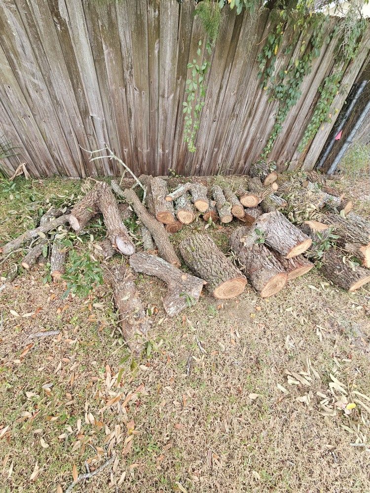 Firewood