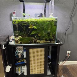 Aquarium/ Fish Tank 