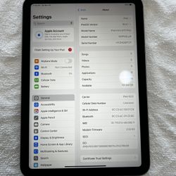 iPad Mini 7 Gen 128gb WiFi And Cellular 