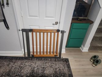 Baby Gate with Door