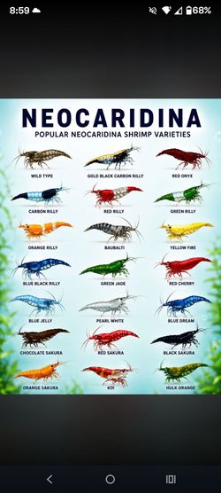 Huge list