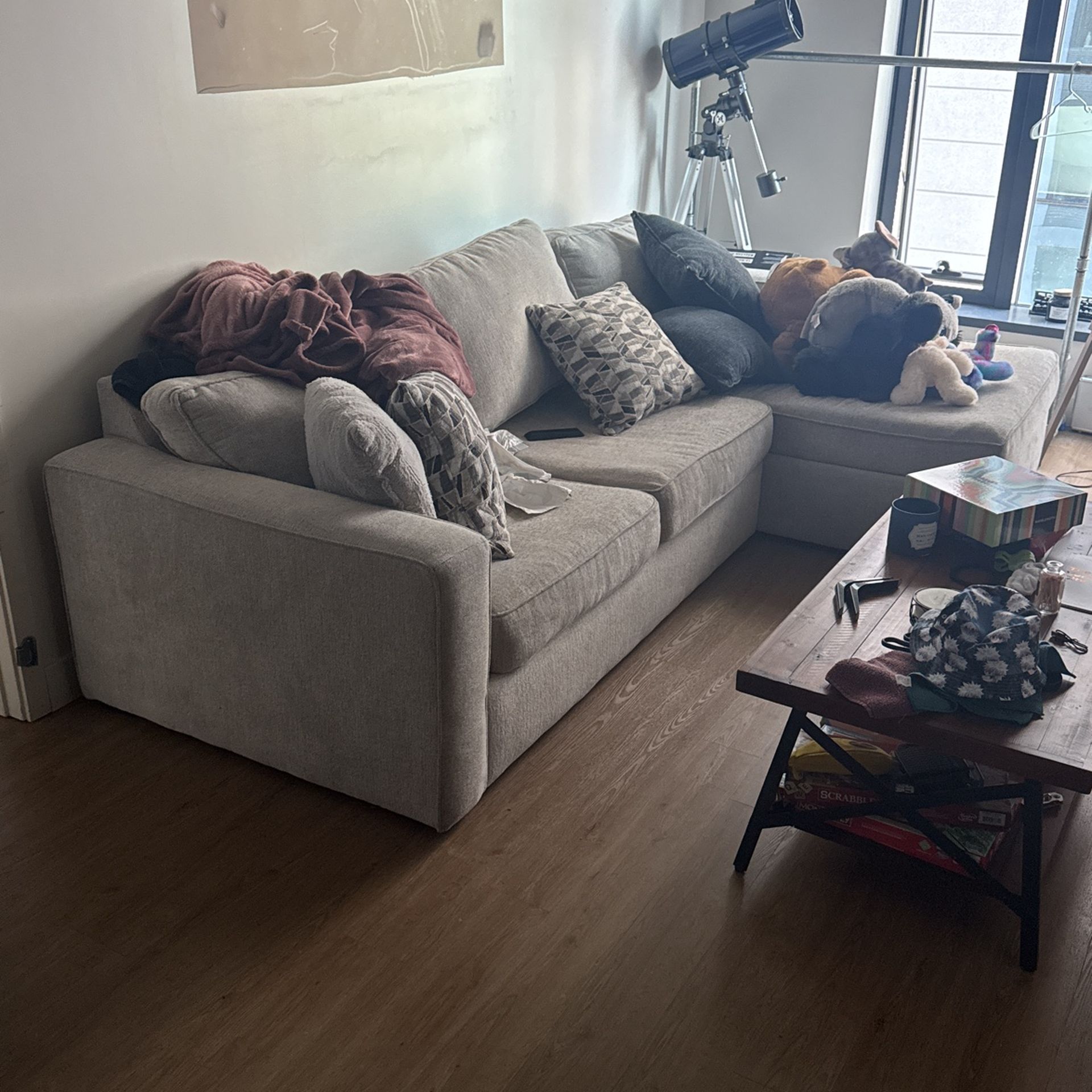 Living Spaces Couch 
