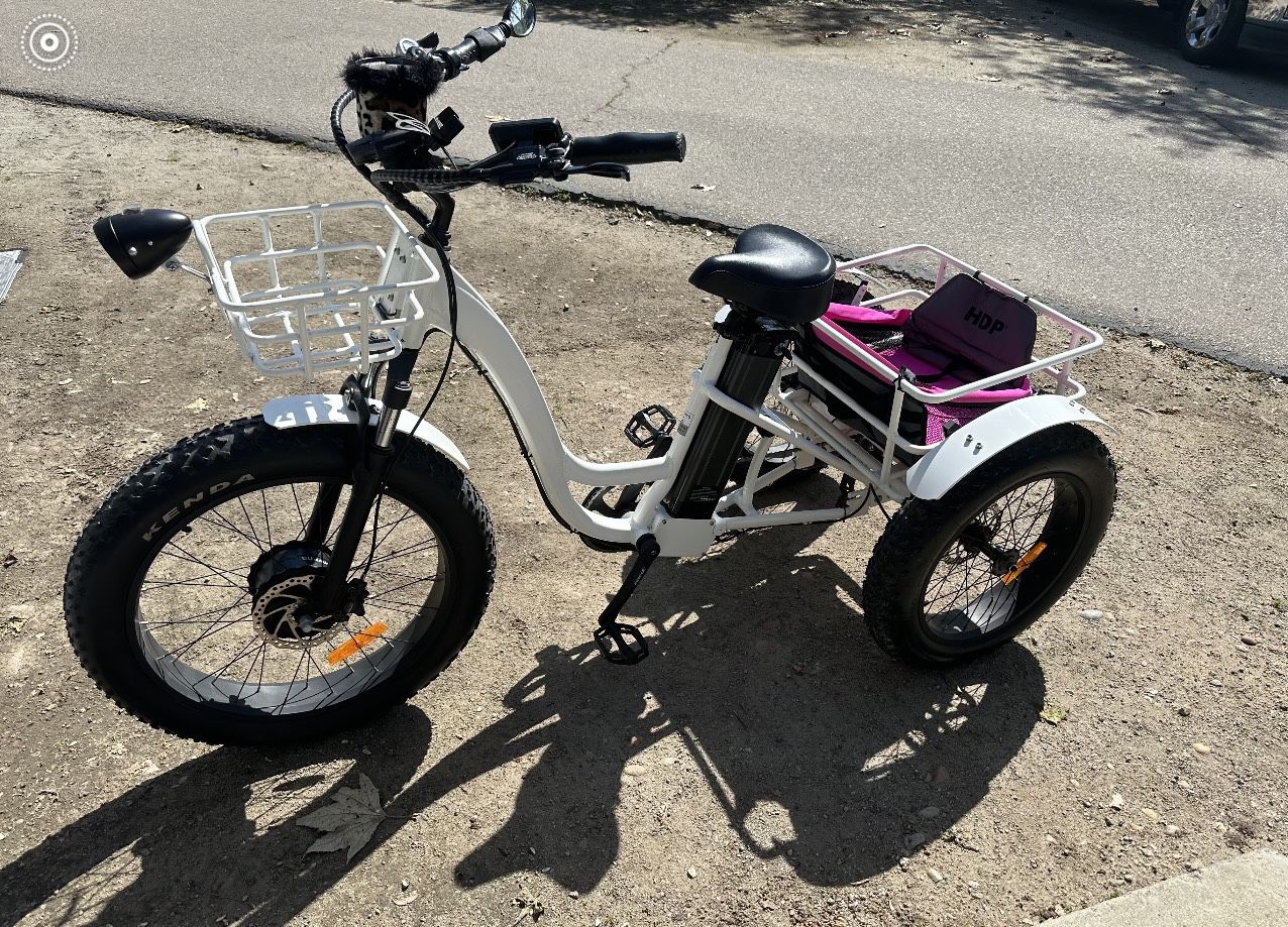 Adult Tricycle Electric 
