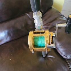 Penn International Rod And Real 30 T