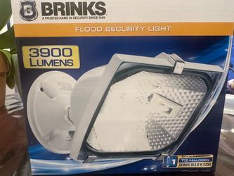 Flood security light