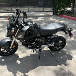 2023 Honda GROM