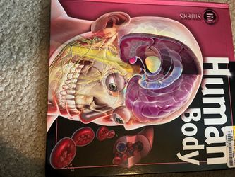 Brand new kids Human Body Learning Book