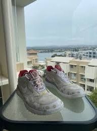 Nike Wildwood 90 Free Trail