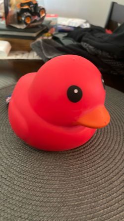 Sunny Days Red Squishy Duck