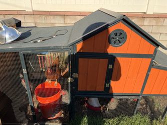Chicken coop