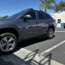 Tint For Sale