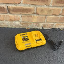 New Dewalt 20volt 12amp Fast Charger