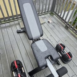 Bowflex Dumbells And Bench