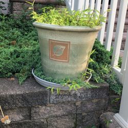 Large Ceramic Pots - Set Of 2