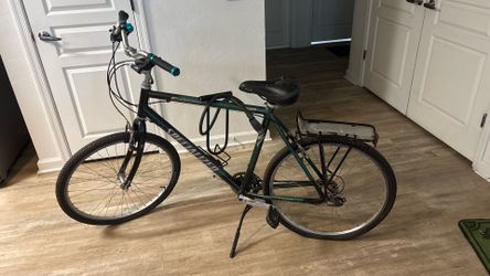 Expedition Specialized 21 Speed Bike