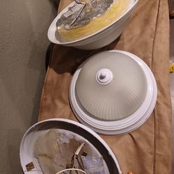 Ceiling Lights