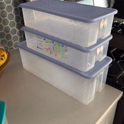 Tupperware Fridgesmart  