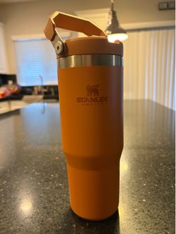Cups- Stanley’s, Starbucks’s, Simple Modern and Iron Flask