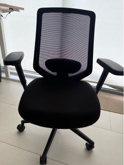 Branch Ergonomic Pro - Like Brand New