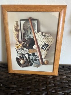 Ty Cobb Framed Baseball Memorabilia Collage