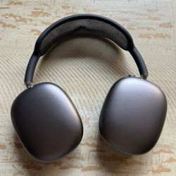 Apple Headphones 