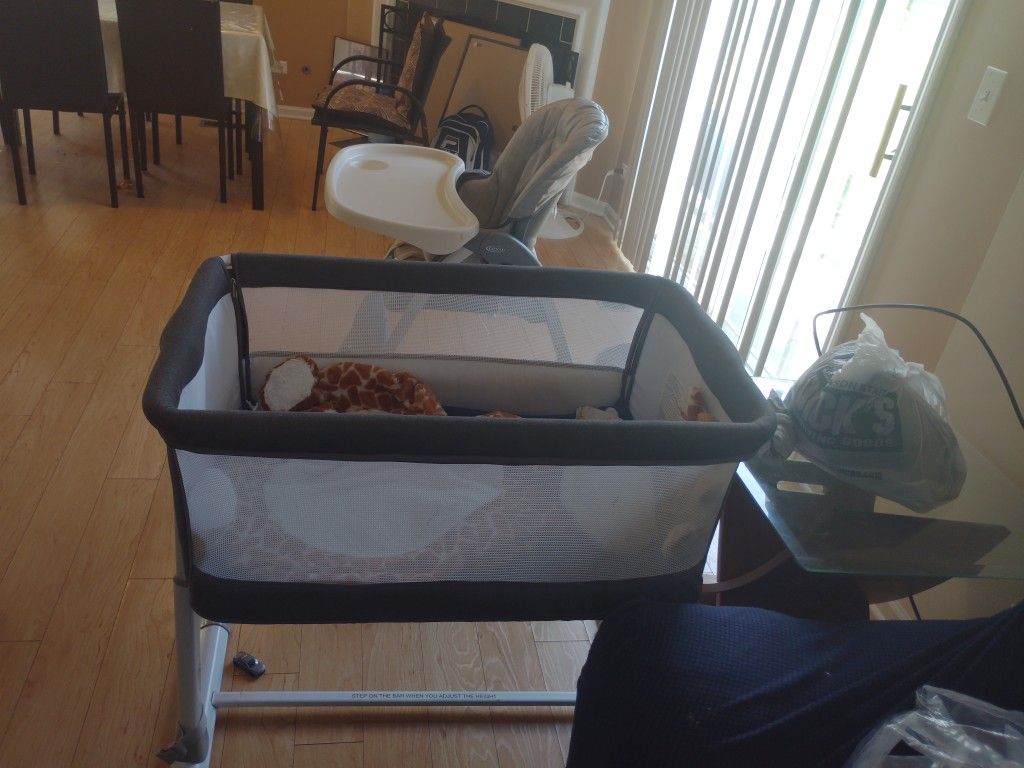 Graco Feeding Chair and Basnett