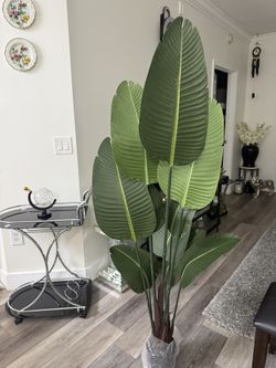 Pretty Artificial Plant 5 Ft Tall! Brand New 