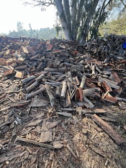 Drive Firewood ready to burn