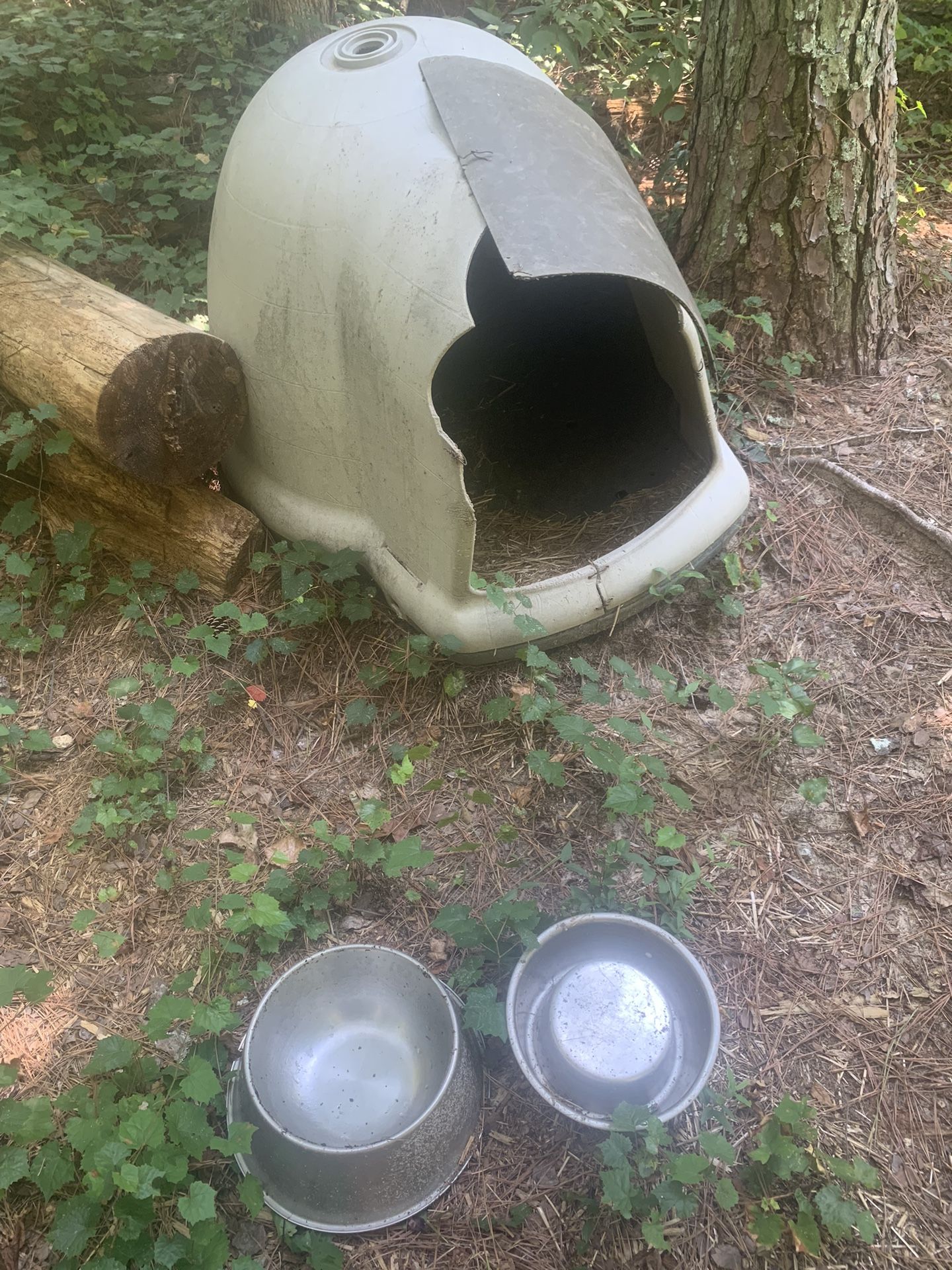 Dog Igloo, And Bowls