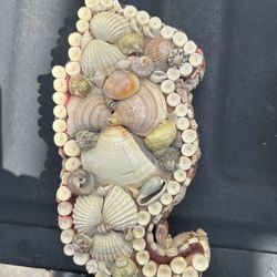 Seashell Box