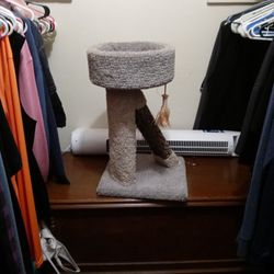 Cat Stuff
