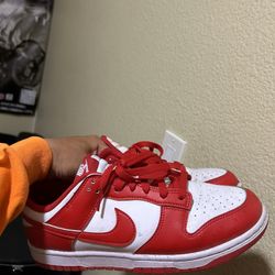 Nike Sb Dunks Red