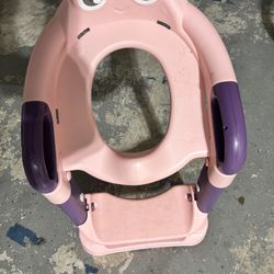 Training Toilet Ladder 