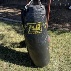 Everlast Boxing Heavy Bag. 100 Pound Bag With Chains To Hang 
