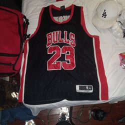 Jordan Swingman Authentic Jersey