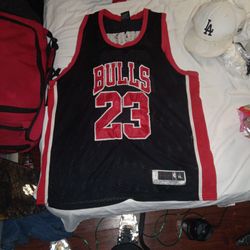 Jordan Swingman Authentic Jersey