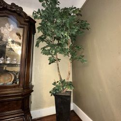 Tall Decorative Fake Plant w/ Pot - $75