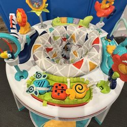 Fisher-price Activity Center 