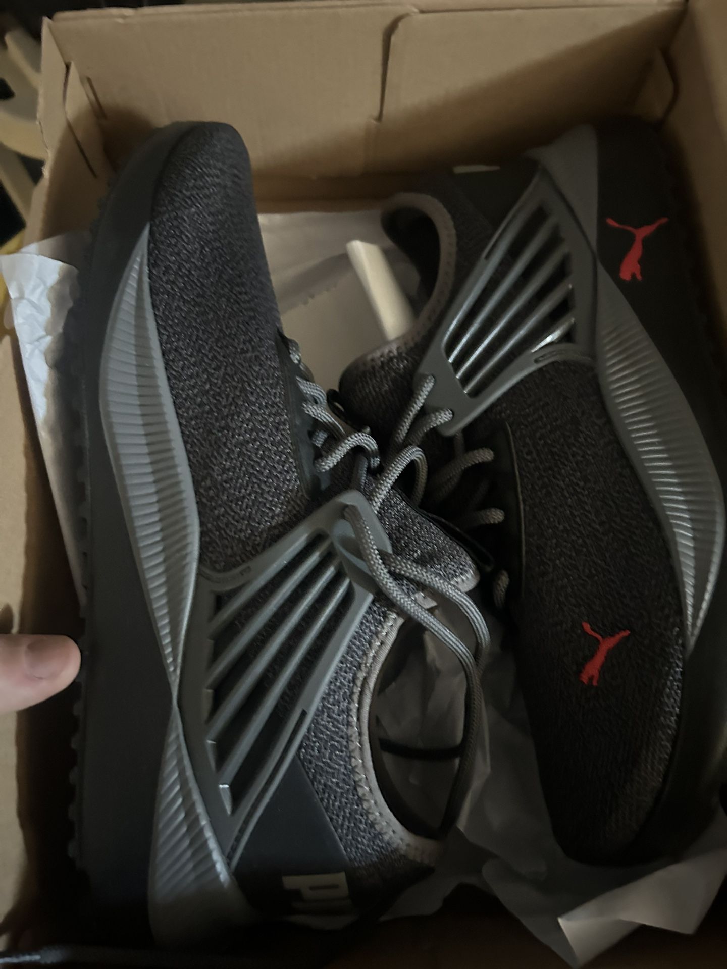 Puma