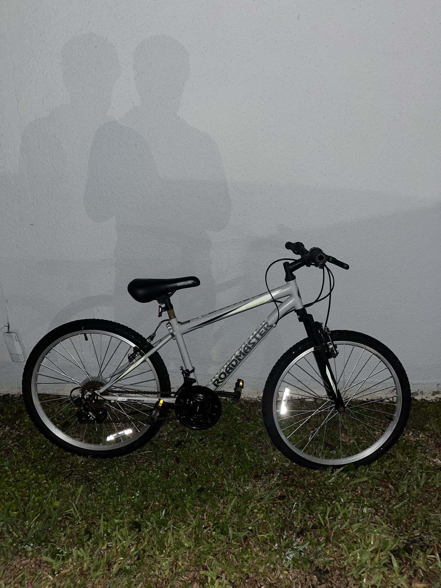 ROADMASTER MOUNTAIN BIKE