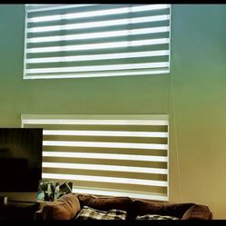Zebra O Roller Shades 