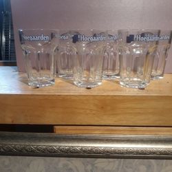 6 Brand New H O E G A A R D E N Glasses