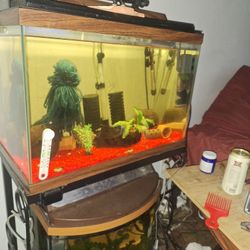 20 Gallon Aquarium 