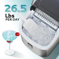 Ice maker