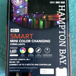 Must Go Today  Brand new in box! 40ft of smart color-changing mini LED lights.