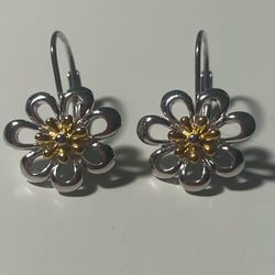 Sterling Silver Earrings